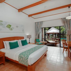 Habitación Deluxe con Cama King